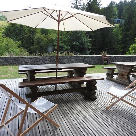 Le Lioran Studio Les Myrtilles A 200M Des Pistes Exterior foto