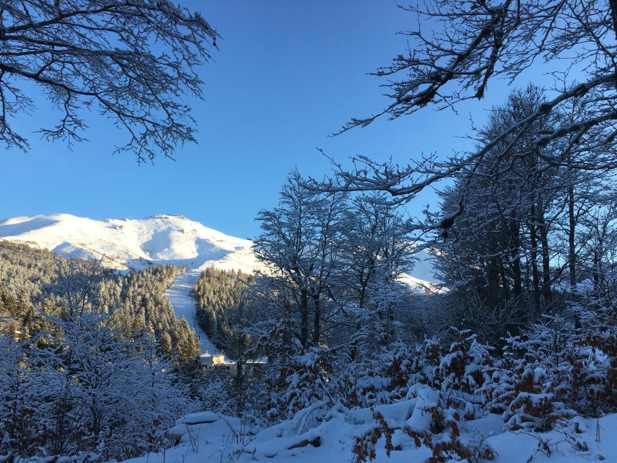 Le Lioran Studio Les Myrtilles A 200M Des Pistes Exterior foto