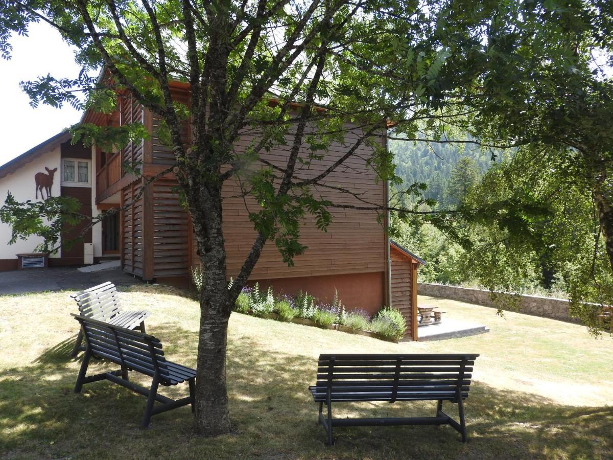 Le Lioran Studio Les Myrtilles A 200M Des Pistes Exterior foto